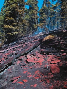 The fire retardant used by the bombers leaves behind a slippery red dye, which can be tricky for line firefighters.