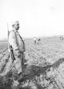 An American guard from Brooklyn stands with POWs in Jack Rathbun’s beet fields.