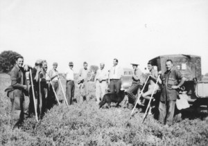 POWs used long hoes to weed beet rows. The shirtless American guard shoulders his carbine. The uniformed man is probably the Orman Dam camp’s CO. John Campbell, in a tie, was the field manager for the Utah & Idaho Sugar Company plant in Belle Fourche.
