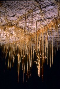 Delicate “soda straws” hang from the “Throne Room” ceiling. Kartchner Caverns possesses the world’s second longest known soda straw, at more than 21 feet long.