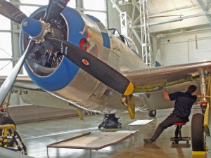 A mechanic working on this P-47 Thunderbolt is a common sight at the Flying Heritage Collection. Most of the planes are in flying condition and need periodic maintenance and care.