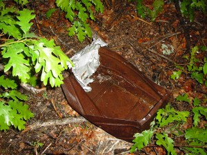 An ammo box lies beneath vegetation.  Someone loaded this box, carrying it onto the aircraft for training with the gun positions that made the B-17 a "flying fortress."
